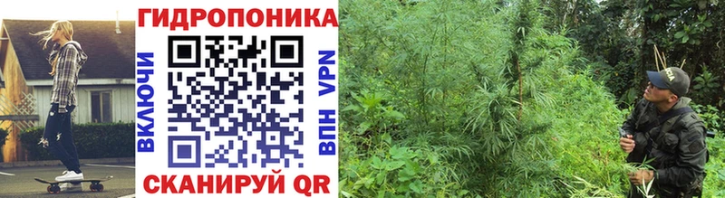 Какие есть наркотики Кузнецк Кокаин  ГАШ  Бутират  Бошки Шишки  А ПВП 