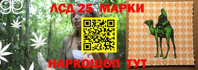 дживик Канаш