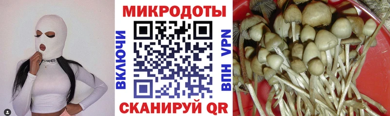Псилоцибиновые грибы мухоморы  цены   Кузнецк 