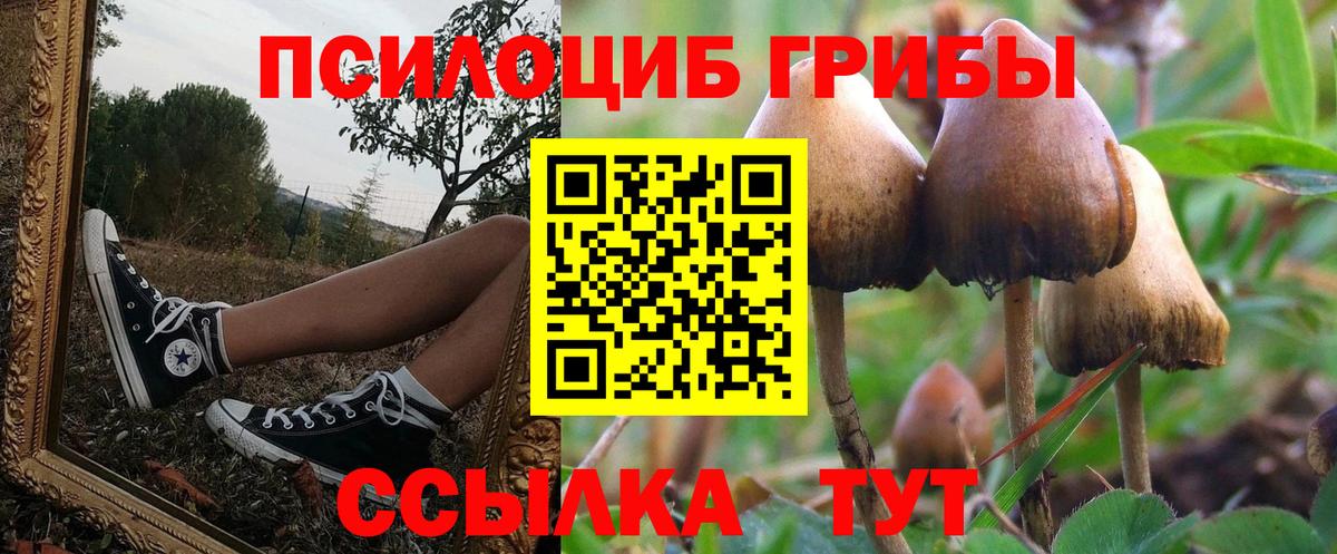 Галлюциногенные грибы мухоморы Кузнецк