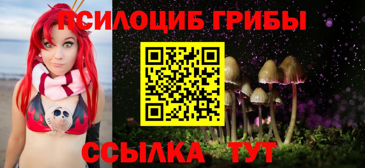Галлюциногенные грибы MAGIC MUSHROOMS  Вход с VPN  Кузнецк 